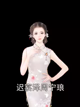 迟宴泽周宁琅小说