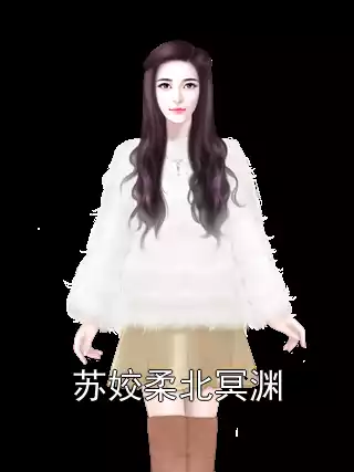 苏姣柔北冥渊