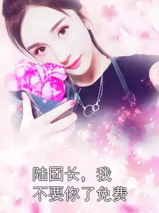陆团长，我不要你了免费小说