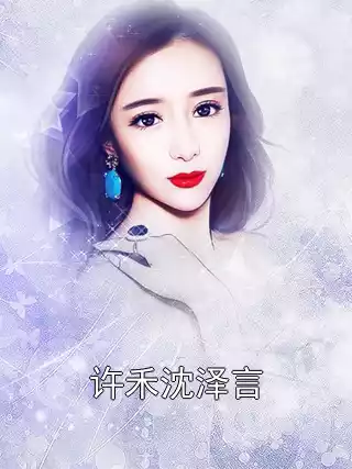 许禾沈泽言小说