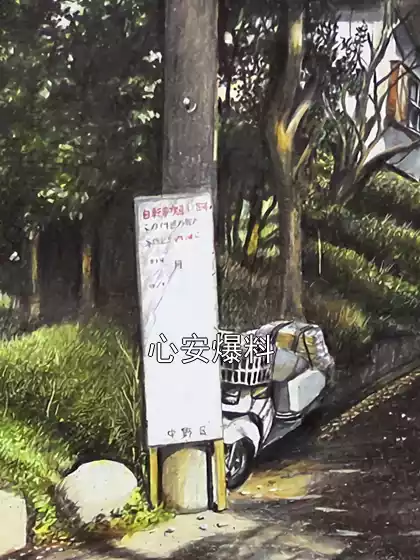 心安爆料小说