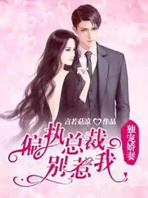 独宠娇妻偏执总裁别惹我小说