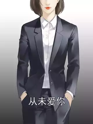 从未爱你小说