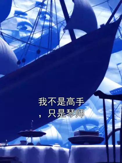 我不是高手，只是琴师