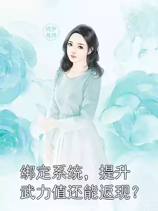 绑定系统，提升武力值还能返现？小说