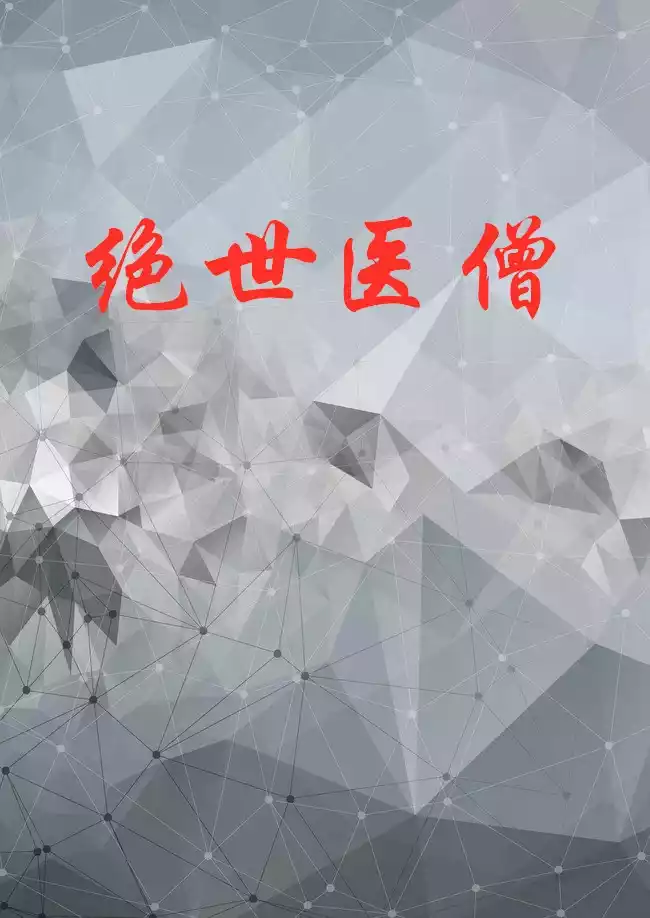 绝世医僧小说