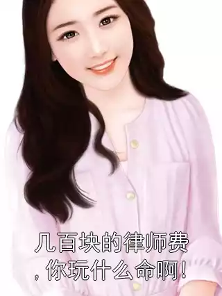 几百块的律师费,你玩什么命啊!