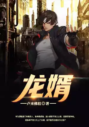 龙婿小说