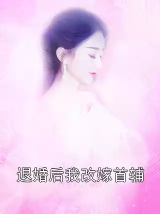 退婚后我改嫁首辅