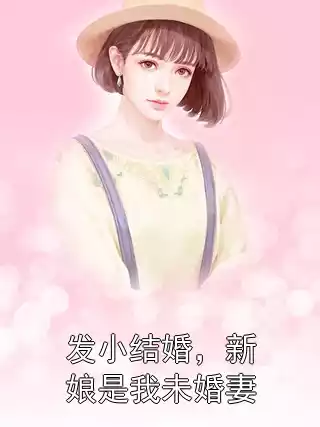 发小结婚，新娘是我未婚妻小说