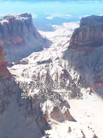 被弟弟冤枉高考作弊，全家都不信我