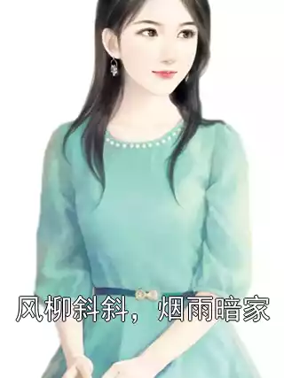 风柳斜斜，烟雨暗家小说