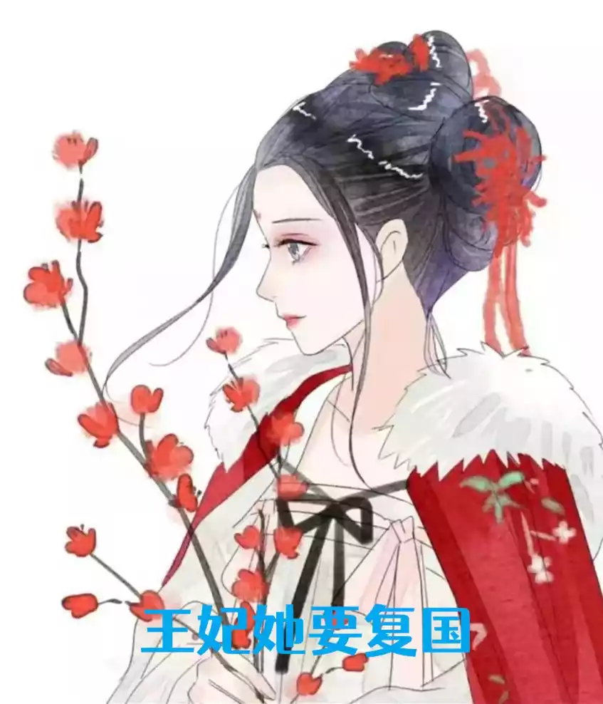 王妃她要复国小说