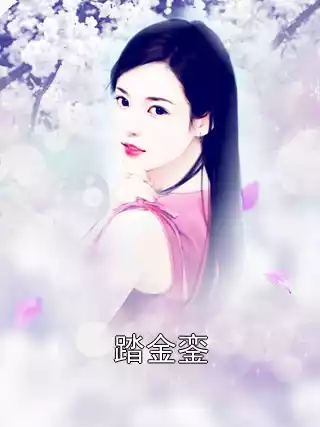 踏金銮小说