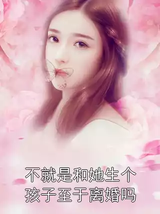 不就是和她生个孩子至于离婚吗小说