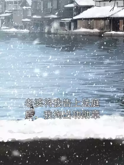 老婆将我告上法庭后，我掏出功勋章小说