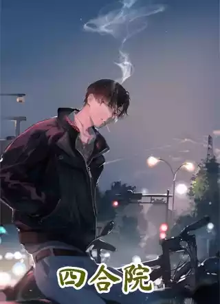 四合院小说