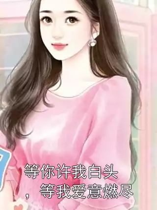 等你许我白头，等我爱意燃尽小说