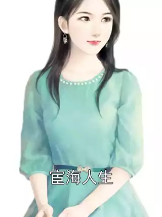宦海人生