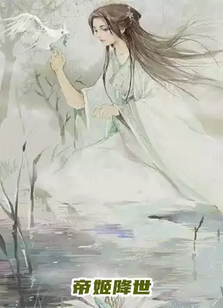 帝姬降世小说