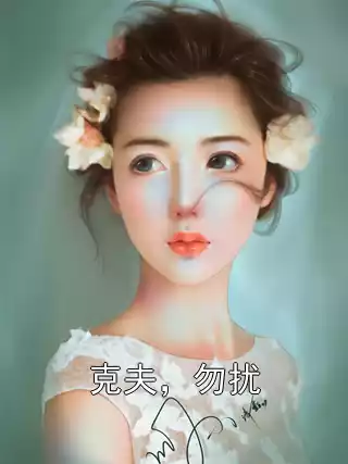 克夫，勿扰小说
