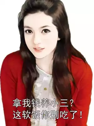 拿我钱养小三？这软饭你别吃了！小说