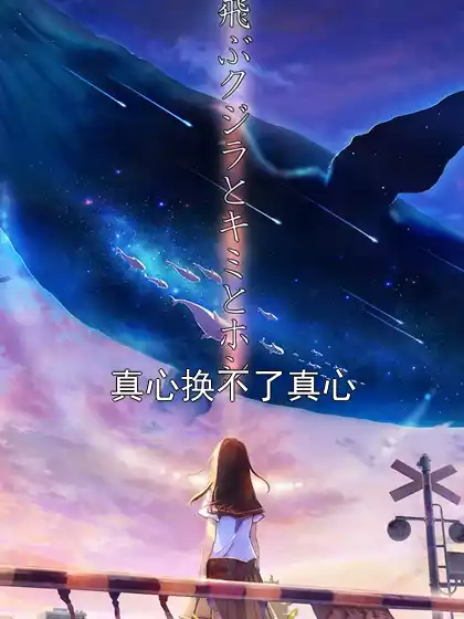 真心换不了真心小说