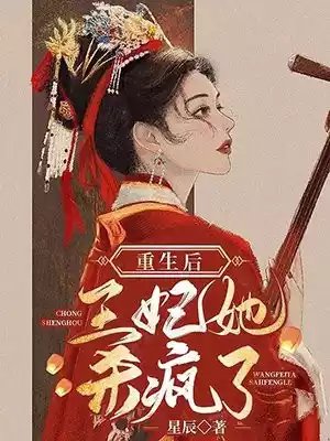 重生后王妃她杀疯了小说
