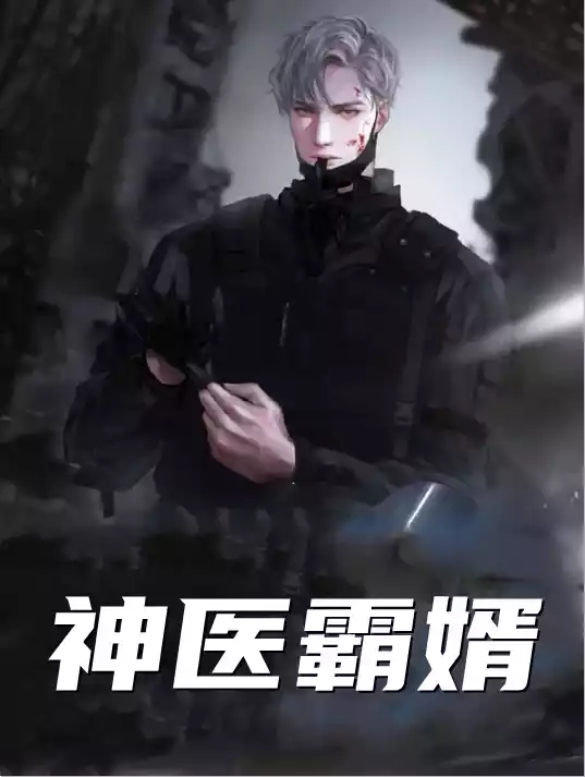 神医霸婿叶非小说