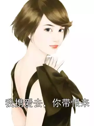 我携爱去，你带恨来小说