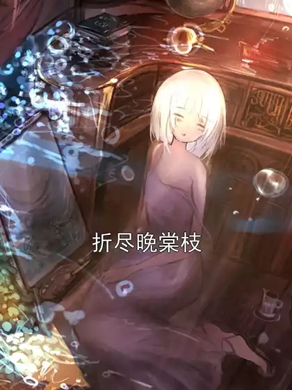 折尽晚棠枝小说