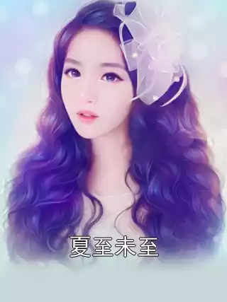 夏至未至小说