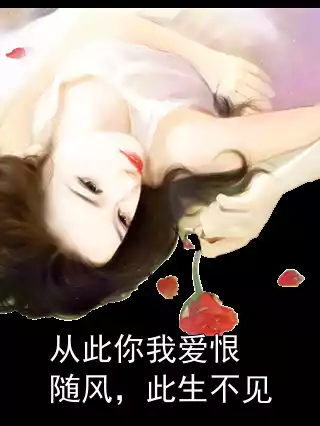 从此你我爱恨随风，此生不见小说