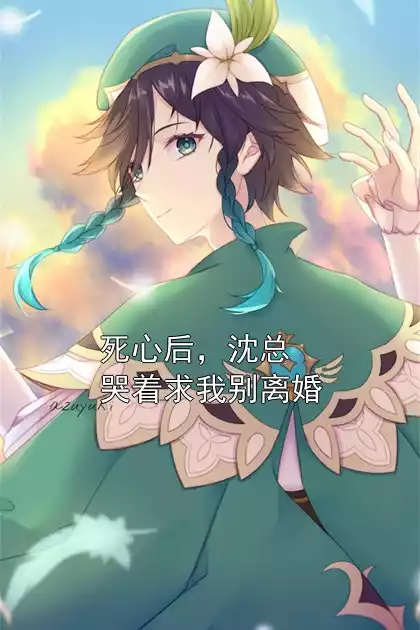 死心后，沈总哭着求我别离婚