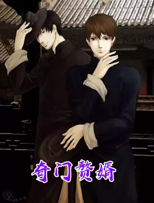 奇门赘婿