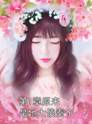 第1章原来是她太傻秦宁小说
