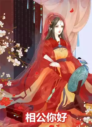 相公你好小说