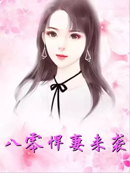 八零悍妻来袭小说