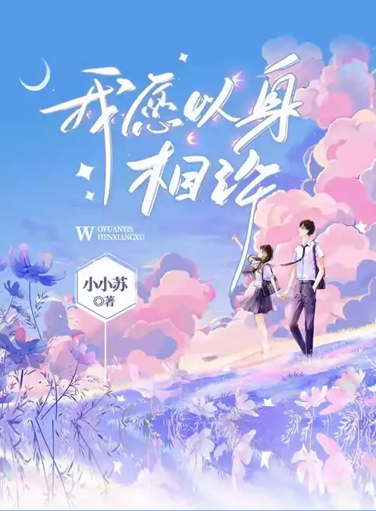 我愿以身相许小说