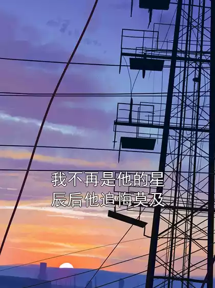 我不再是他的星辰后他追悔莫及小说