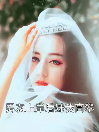 男友上岸后嫌我高攀小说