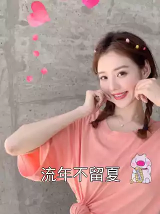 流年不留夏小说