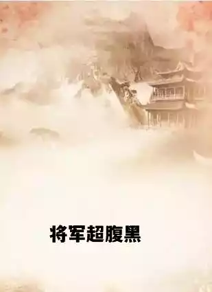 将军超腹黑