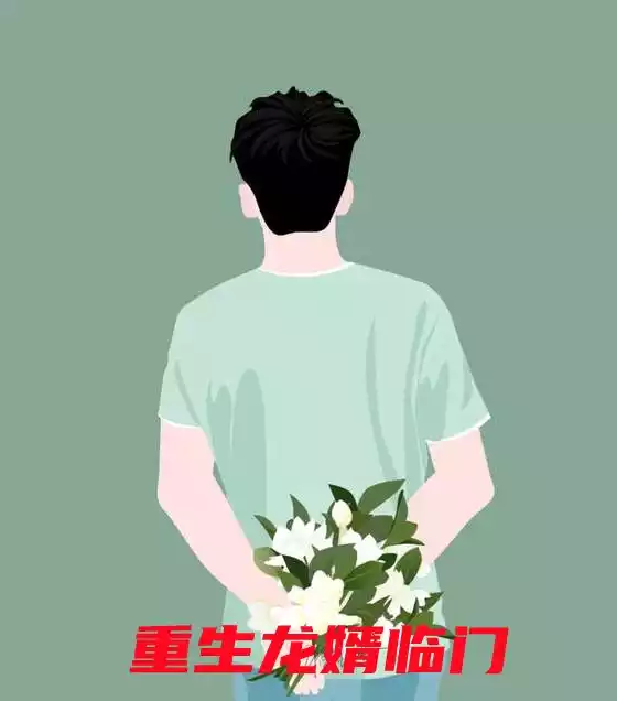 重生龙婿临门小说