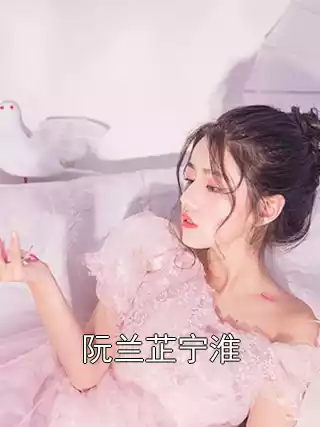 阮兰芷宁淮小说