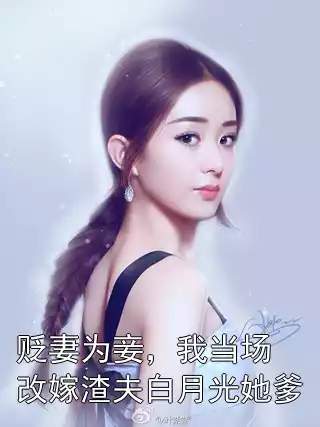 贬妻为妾，我当场改嫁渣夫白月光她爹小说