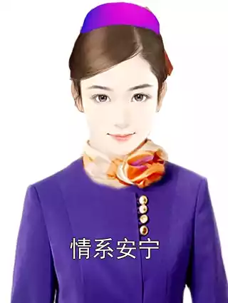 情系安宁小说