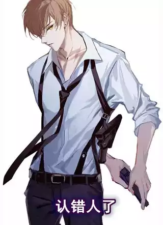 认错人了小说