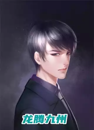龙腾九州小说