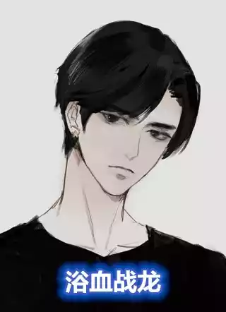 浴血战龙小说